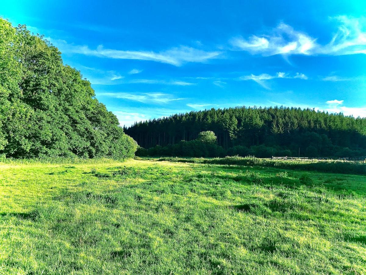 Вилла Roosters Retreat Лонсестон Экстерьер фото
